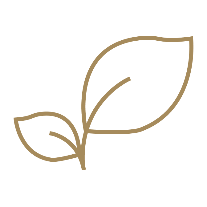 Feuille stylisée de couleur dorée avec une tige.